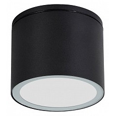 Накладной светильник arte lamp piau...